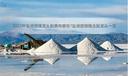 盐湖提锂龙头概念股(盐湖提锂板块有哪些股票)_https://www.heiljjianzu.com_创业板_第1张
