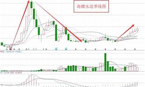 龙头股是什么(龙头股是什么意思意思)_https://www.heiljjianzu.com_深交所_第1张