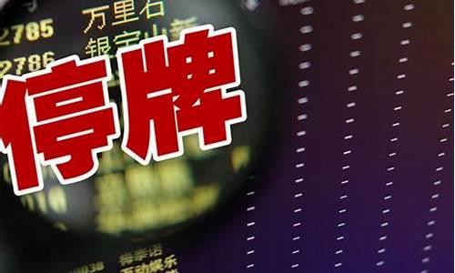 被停牌的股票怎么办(股票被停牌了)_https://www.heiljjianzu.com_上交所_第1张