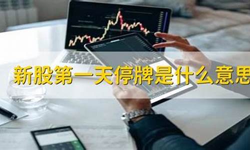 新股上市第一天停牌规则(新股上市第一天停牌是好事吗)_https://www.heiljjianzu.com_创业板_第1张