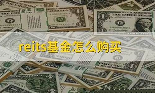 reits基金怎么购买流程(reits基金在哪购买)_https://www.heiljjianzu.com_创业板_第1张