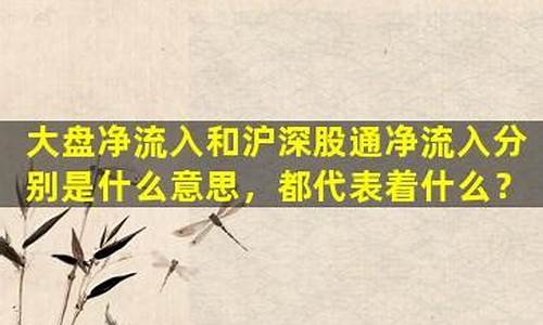 深股通净流入代表什么(深股通流入股价下跌)_https://www.heiljjianzu.com_上交所_第1张