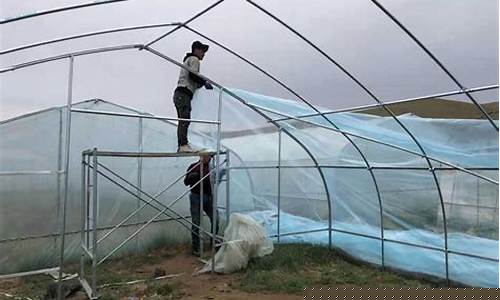 专业建大棚施工队哪里有(专业安装大棚施工队)_科创板_第1张_财经网 专业建大棚施工队哪里有(专业安装大棚施工队)_https://www.heiljjianzu.com_科创板_第1张