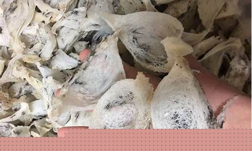 期货毛燕燕_创业板_第1张_财经网 期货毛燕燕_https://www.heiljjianzu.com_创业板_第1张