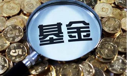 哪里可以看基金的实时估值(哪里可以看基金的实时估值软件)_https://www.heiljjianzu.com_上交所_第1张