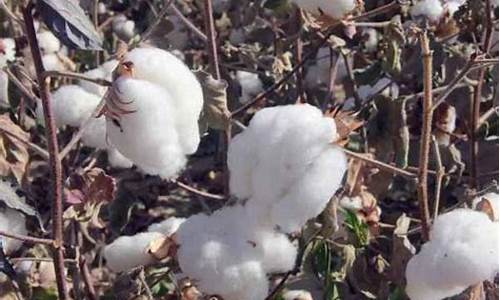 10月南斯拉夫的天气情况(10月南斯拉夫的天气情况怎么样)_https://www.heiljjianzu.com_创业板_第1张