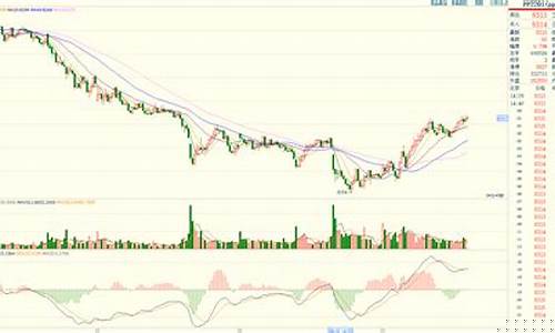 期货pp2(期货pp2401一股是多少)_https://www.heiljjianzu.com_创业板_第1张