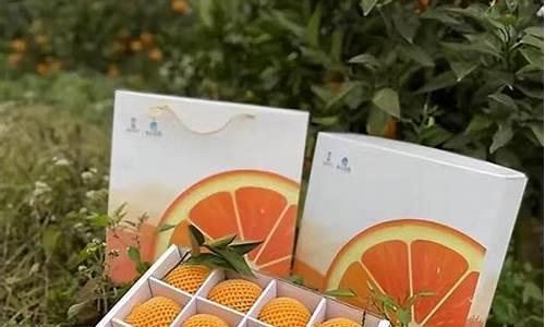 农村发展致富项目大全(未来农村十大挣钱行业)_创业板_第1张_财经网 农村发展致富项目大全(未来农村十大挣钱行业)_https://www.heiljjianzu.com_创业板_第1张