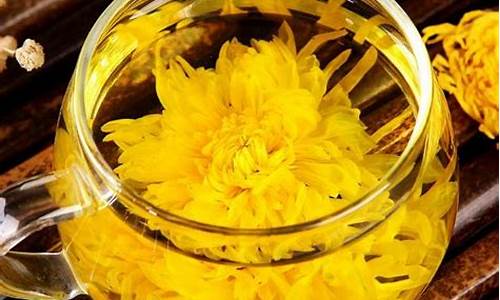 金丝皇菊期货行情分析(金丝皇菊种植技术及方法)_https://www.heiljjianzu.com_深交所_第1张