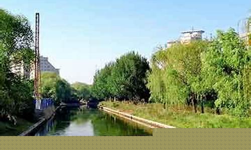 今日金属期货行情走势(今日金属期货行情走势分析)_https://www.heiljjianzu.com_北交所_第1张