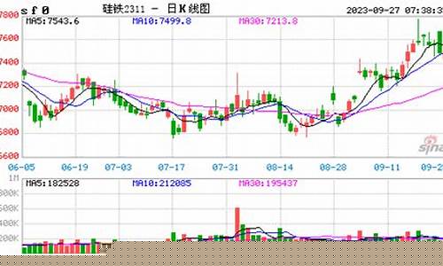 广硅期货价格实时行情(硅价格今日行情)_https://www.heiljjianzu.com_创业板_第1张