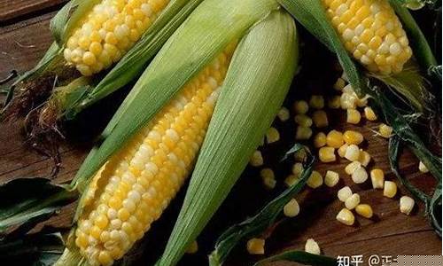 玉米期货还能买吗今天行情(玉米期货分析)_https://www.heiljjianzu.com_科创板_第1张