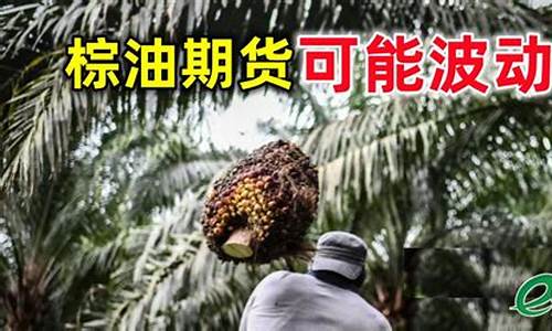 棕油期货行情今日(棕油期货走势)_https://www.heiljjianzu.com_北交所_第1张
