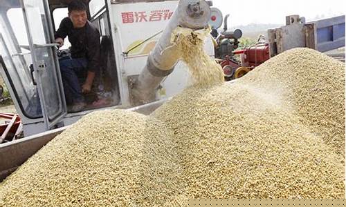 俄罗斯大豆期货实时行情(美大豆期货实时行情最新)_https://www.heiljjianzu.com_北交所_第1张