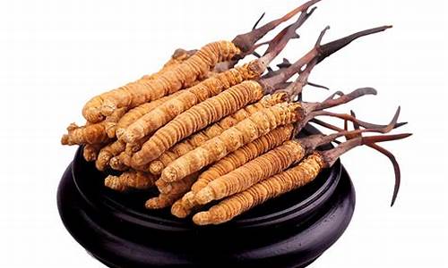 冬虫夏草期货实时行情(冬虫夏草今日单价)_https://www.heiljjianzu.com_科创板_第1张