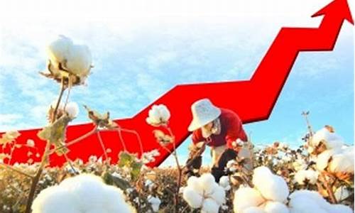 中国棉花期货实时行情走势(棉花期货实时行情走势图表最新)_https://www.heiljjianzu.com_深交所_第1张
