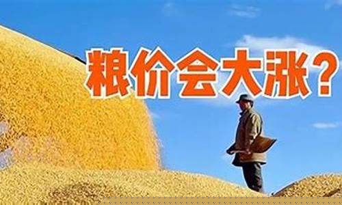 2024年粮食会大涨价吗(玉米期货最近行情走势)_https://www.heiljjianzu.com_创业板_第1张
