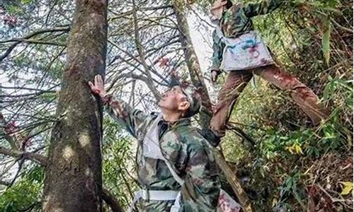 山人财经直播(财经博主山人)_https://www.heiljjianzu.com_创业板_第1张