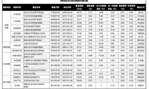 大盘指数基金排名前十名(大盘指数基金排名前十名有哪些)_https://www.heiljjianzu.com_上交所_第1张