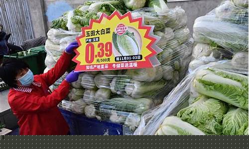 2023白菜价格会卖到多少(2023年白菜价格走势图)_https://www.heiljjianzu.com_北交所_第1张