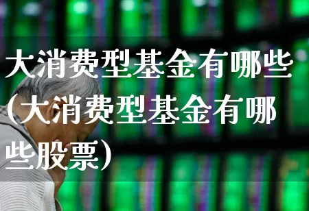 大消费型基金有哪些(大消费型基金有哪些股票)_https://www.heiljjianzu.com_深交所_第1张