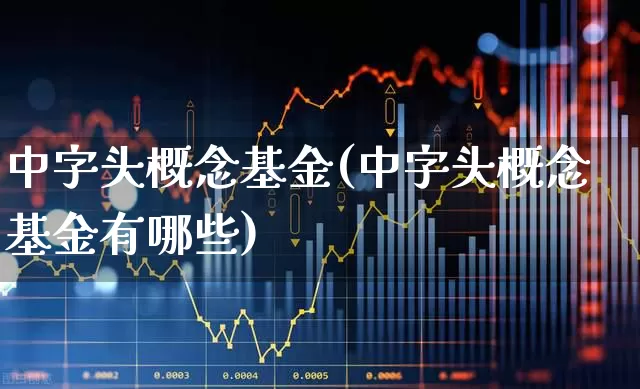 中字头概念基金(中字头概念基金有哪些)_https://www.heiljjianzu.com_上交所_第1张