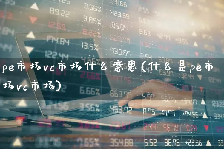 pe市场vc市场什么意思(什么是pe市场vc市场)_https://www.heiljjianzu.com_深交所_第1张