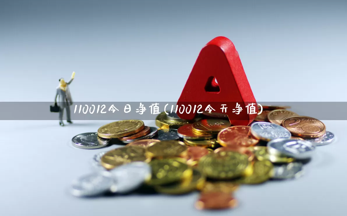 110012今日净值(110012今天净值)_https://www.heiljjianzu.com_上交所_第1张