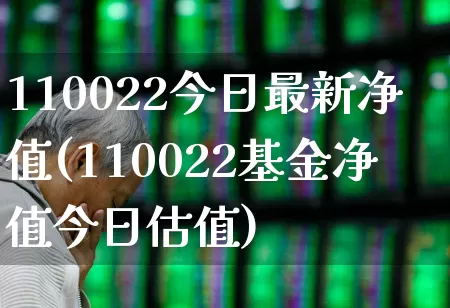 110022今日最新净值(110022基金净值今日估值)_https://www.heiljjianzu.com_北交所_第1张