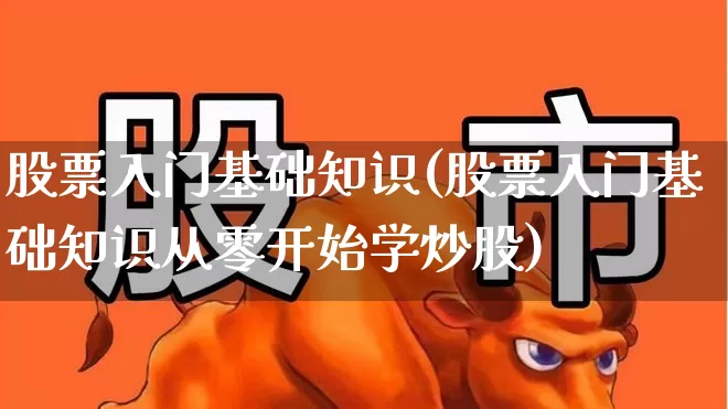 股票入门基础知识(股票入门基础知识从零开始学炒股)_https://www.heiljjianzu.com_创业板_第1张
