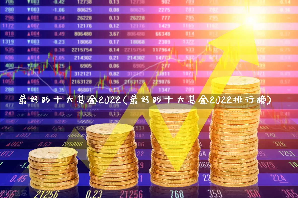 最好的十大基金2022(最好的十大基金2022排行榜)_https://www.heiljjianzu.com_北交所_第1张