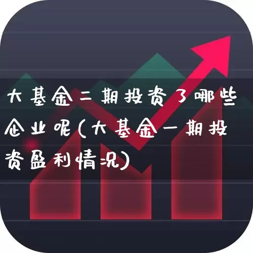 大基金二期投资了哪些企业呢(大基金一期投资盈利情况)_https://www.heiljjianzu.com_创业板_第1张