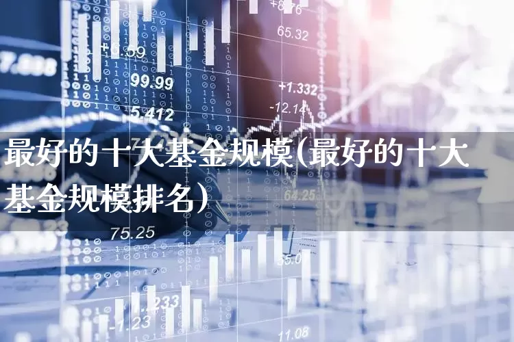 最好的十大基金规模(最好的十大基金规模排名)_https://www.heiljjianzu.com_创业板_第1张