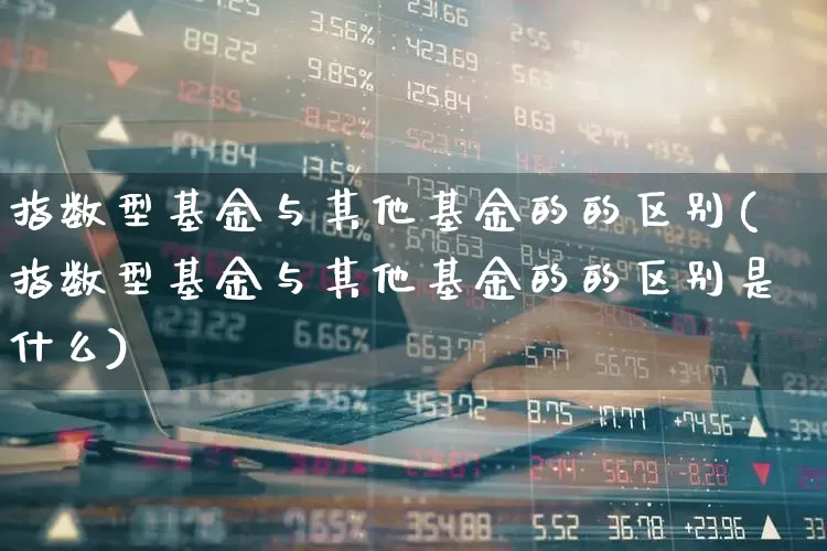 指数型基金与其他基金的的区别(指数型基金与其他基金的的区别是什么)_https://www.heiljjianzu.com_深交所_第1张