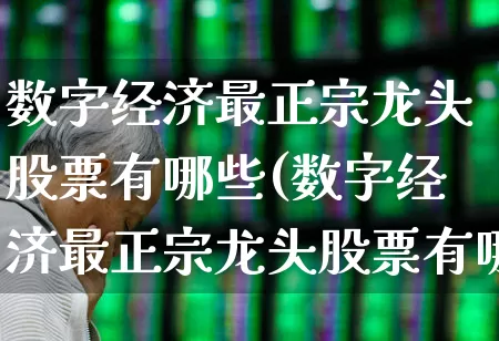 数字经济最正宗龙头股票有哪些(数字经济最正宗龙头股票有哪些呢)_https://www.heiljjianzu.com_科创板_第1张