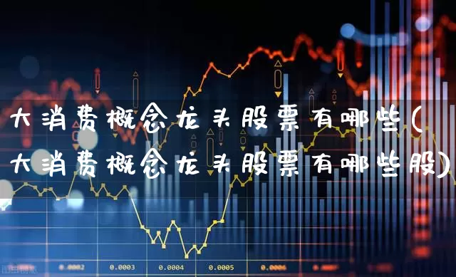 大消费概念龙头股票有哪些(大消费概念龙头股票有哪些股)_https://www.heiljjianzu.com_深交所_第1张
