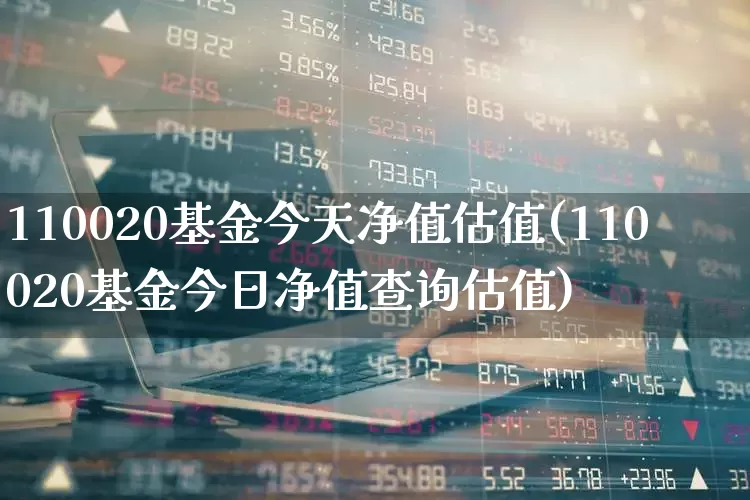 110020基金今天净值估值(110020基金今日净值查询估值)_https://www.heiljjianzu.com_上交所_第1张