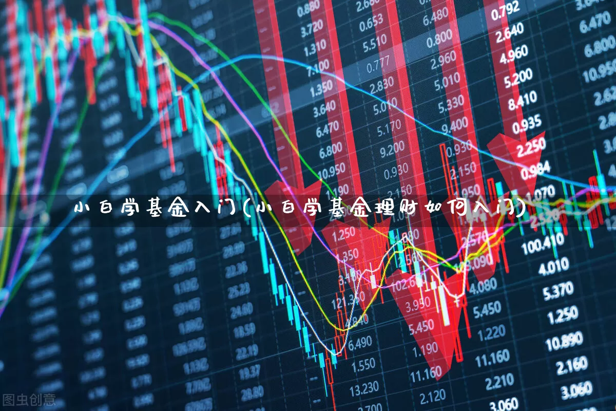 小白学基金入门(小白学基金理财如何入门)_https://www.heiljjianzu.com_上交所_第1张