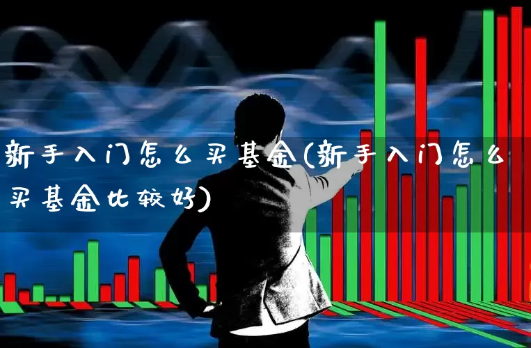 新手入门怎么买基金(新手入门怎么买基金比较好)_https://www.heiljjianzu.com_深交所_第1张