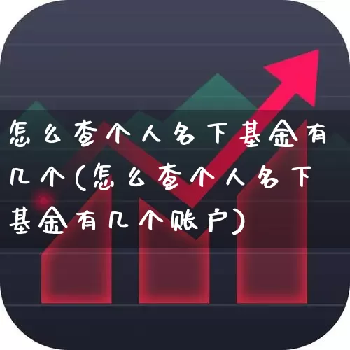 怎么查个人名下基金有几个(怎么查个人名下基金有几个账户)_https://www.heiljjianzu.com_上交所_第1张