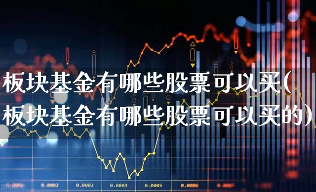 板块基金有哪些股票可以买(板块基金有哪些股票可以买的)_https://www.heiljjianzu.com_科创板_第1张