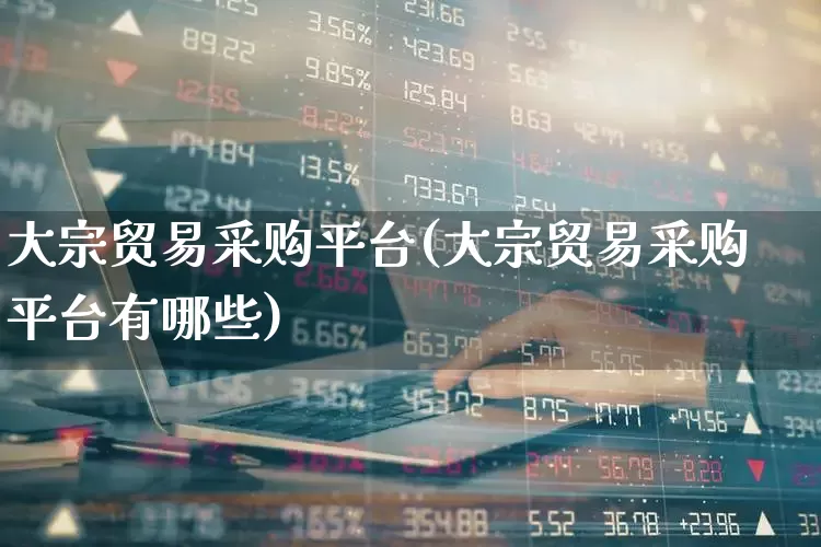 大宗贸易采购平台(大宗贸易采购平台有哪些)_https://www.heiljjianzu.com_深交所_第1张