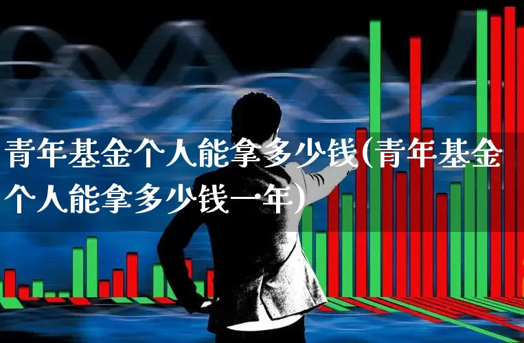 青年基金个人能拿多少钱(青年基金个人能拿多少钱一年)_https://www.heiljjianzu.com_创业板_第1张