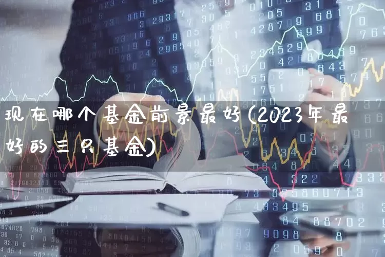 现在哪个基金前景最好(2023年最好的三只基金)_https://www.heiljjianzu.com_深交所_第1张