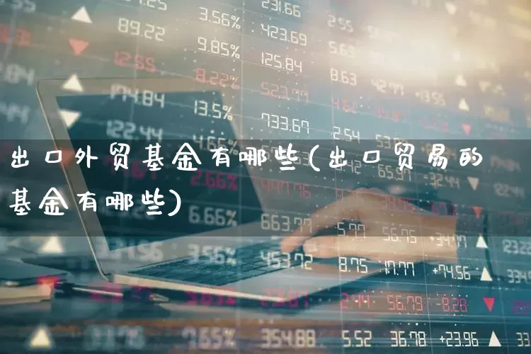 出口外贸基金有哪些(出口贸易的基金有哪些)_https://www.heiljjianzu.com_深交所_第1张