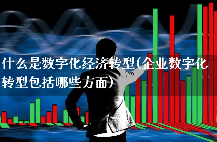 什么是数字化经济转型(企业数字化转型包括哪些方面)_https://www.heiljjianzu.com_深交所_第1张