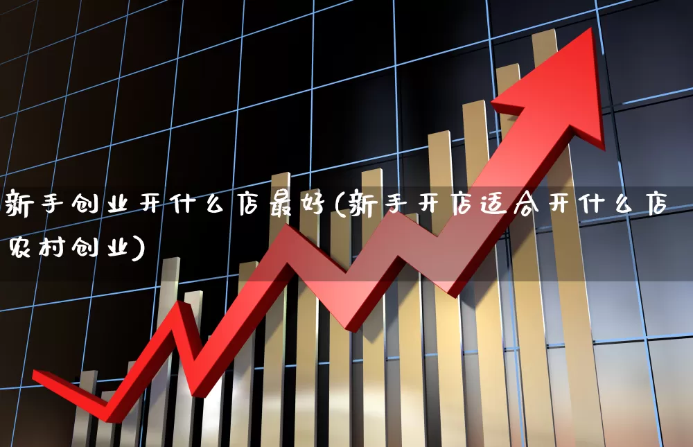新手创业开什么店最好(新手开店适合开什么店农村创业)_https://www.heiljjianzu.com_深交所_第1张