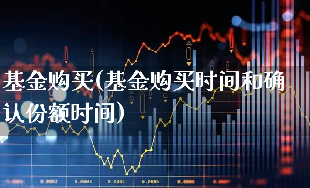 基金购买(基金购买时间和确认份额时间)_https://www.heiljjianzu.com_上交所_第1张