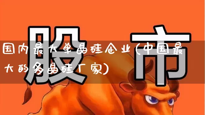 国内最大单晶硅企业(中国最大的多晶硅厂家)_https://www.heiljjianzu.com_上交所_第1张