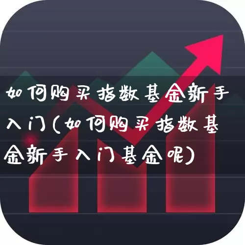 如何购买指数基金新手入门(如何购买指数基金新手入门基金呢)_https://www.heiljjianzu.com_上交所_第1张
